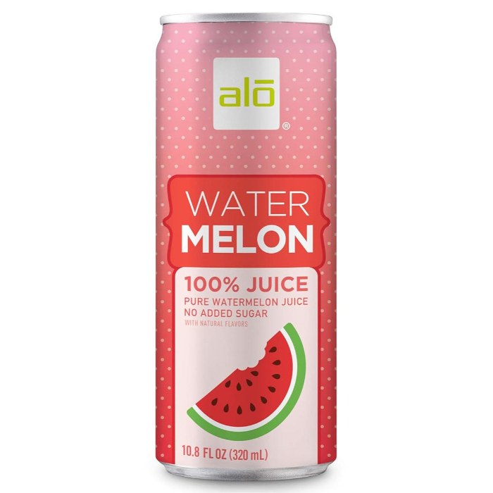 ALO - Watermelon Juice, 320ml | Pack of 12 – PlantX UK