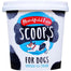 Marshfield - Scoops Dog Ice Cream Vanilla, 125ml  Pack of 24