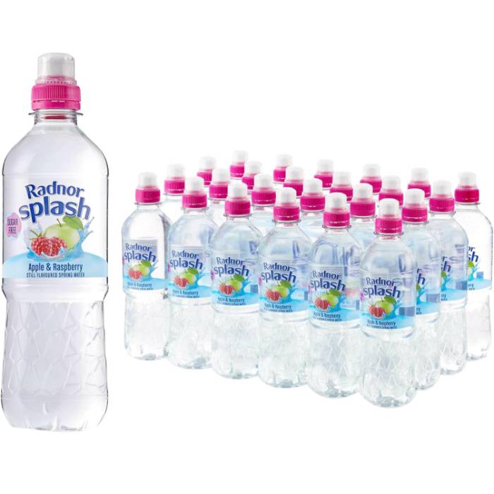 Radnor Splash - Apple and Raspberry Fruit Flavoured Still Water, 500ml  Pack of 24