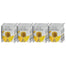 Clearspring - Organic Puffed Corn Cakes - 12-Pack, 130g