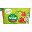 Sojade - Organic Soya Yoghurt Alternative, 150g | Multiple Flavours - PlantX UK