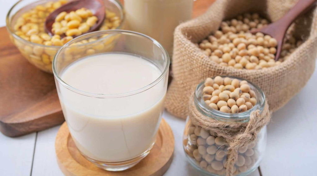 Everything To Know About Soya Milk