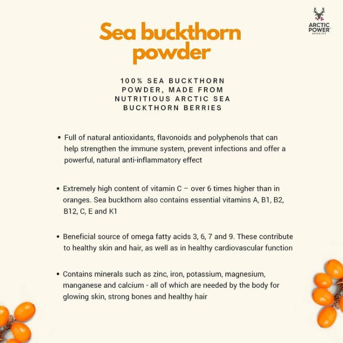 Arctic Power Berries - Sea Buckthorn Powder, 70g - Back