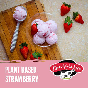 Marshfield - Plant Based Strawberry Ice Cream | Multiple Sizes