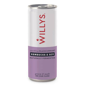 Willy's - Blackcurrant Kombucha & Apple Cider Vinegar, 250ml