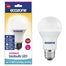 Ecozone - LED Biobulb Screw Cap E27 Daylight 14W (100W Equivalent)