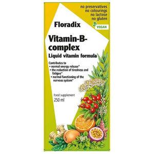 Salus - Floradix Vitamin B Complex, 250ml